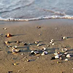 In 54734 Bibione