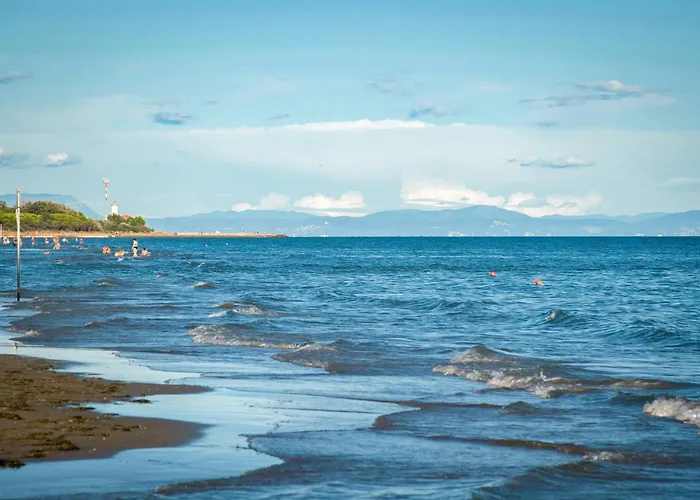 In 54734 Бібіоне