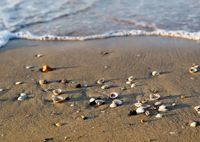 In 54734 Бібіоне